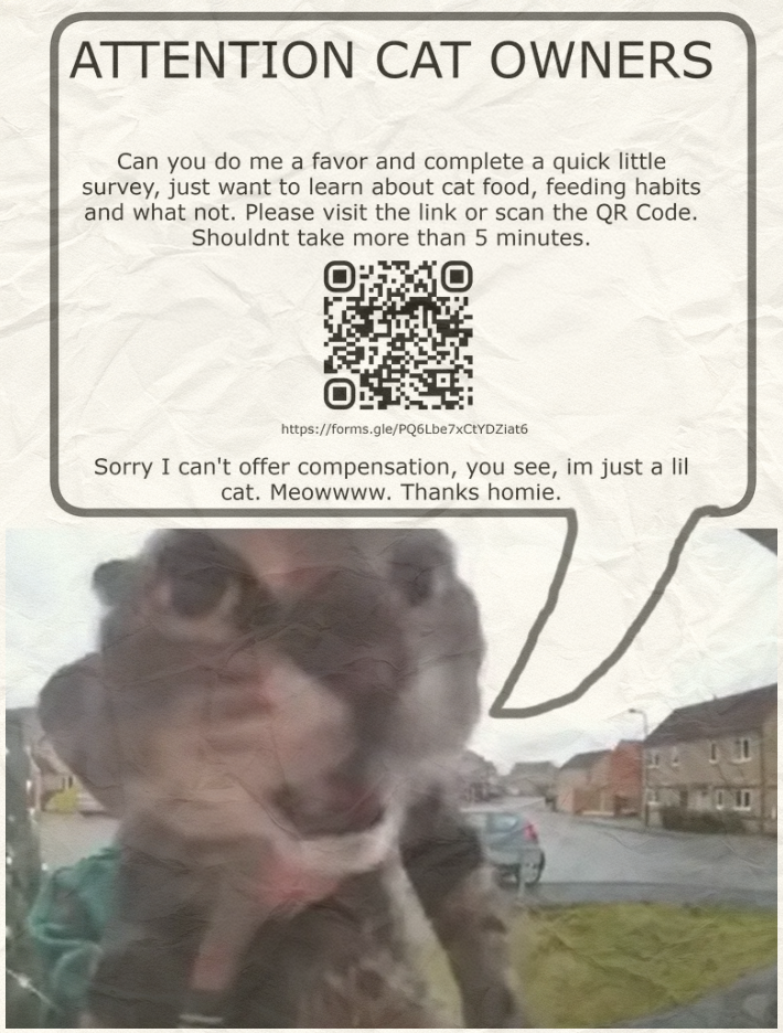 Example of the survey page posted, depicting a cat asking people for assistance with a project