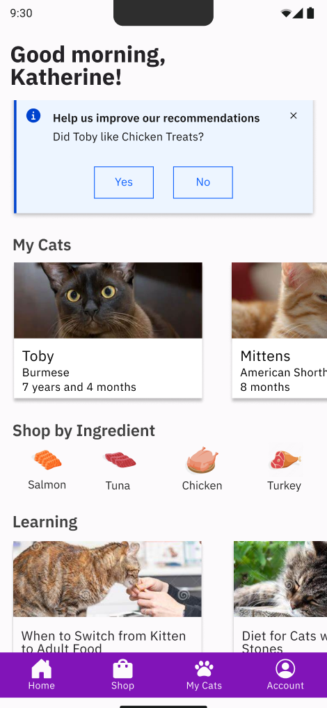 Home Screen Screenshot 1st iteration