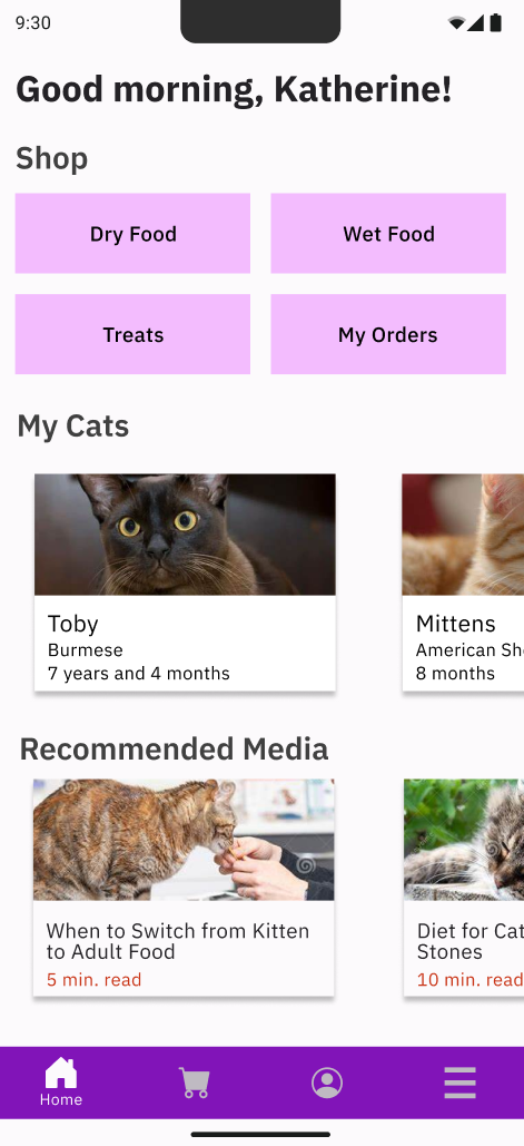 Home Screen Screenshot 1st iteration